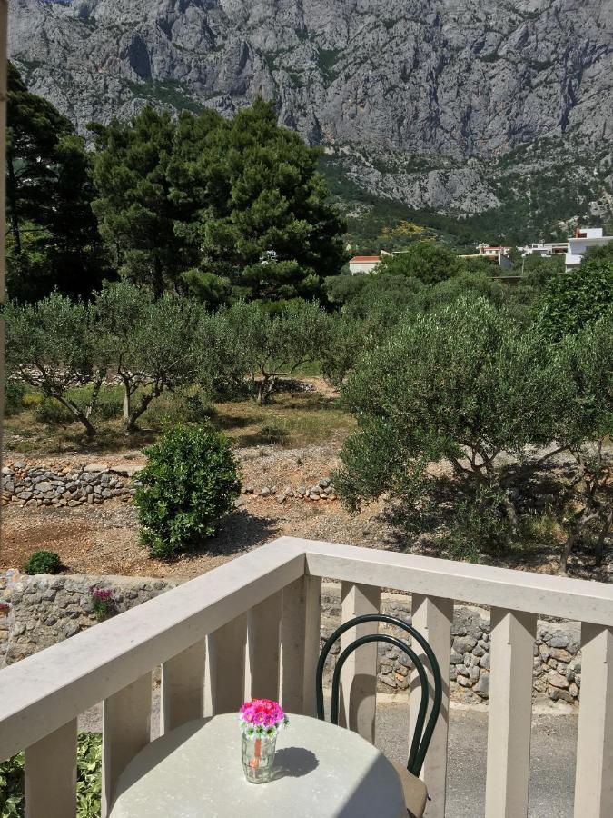 Medusa Makarska